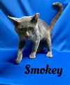 Smokey