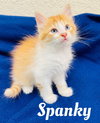 Spanky