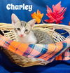 Charley