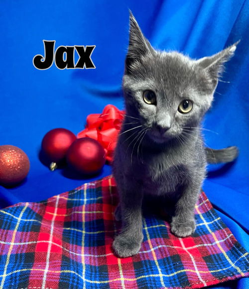 Jax