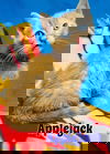 Applejack