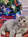 Artemis