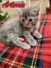 Artemis