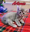 Artemis