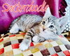 Snickerdoodle