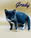 Grady