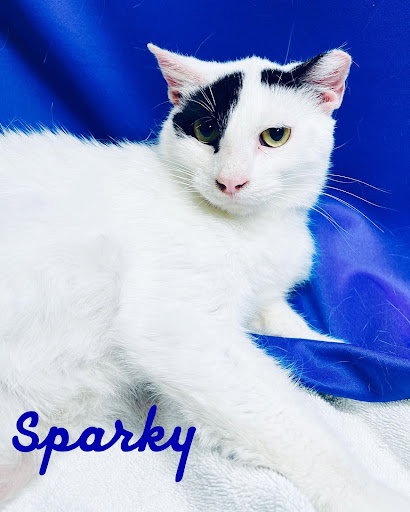Sparky