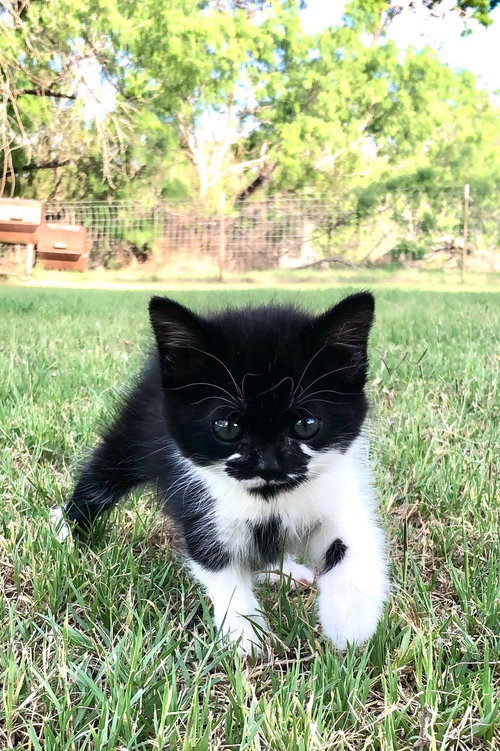 Spunky