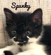 Spunky