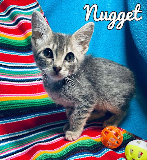 Nugget