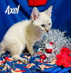 Axel