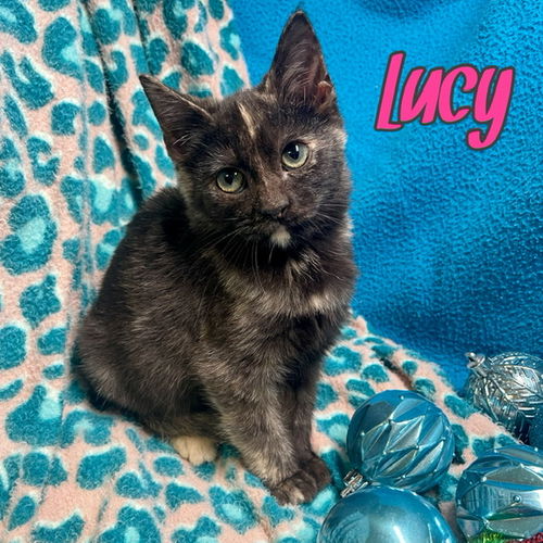 Lucy