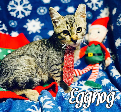 Eggnog