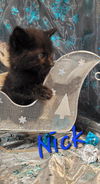 Nick