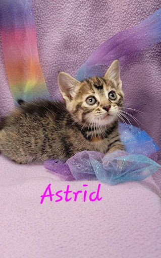 Astrid