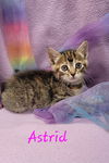 Astrid