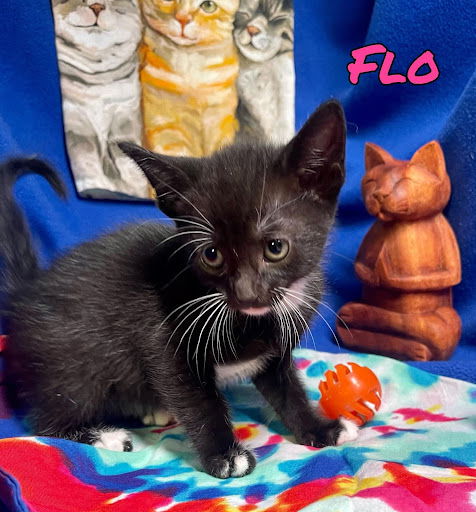 Flo