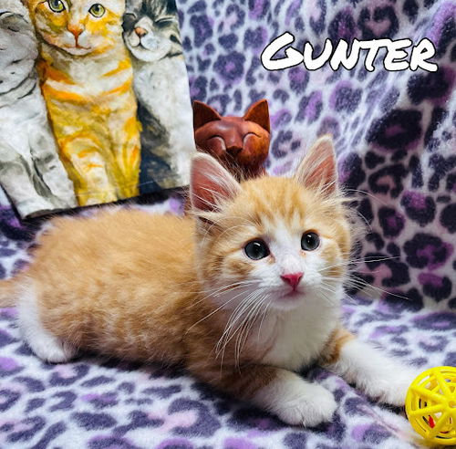 Gunter
