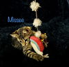 Missee