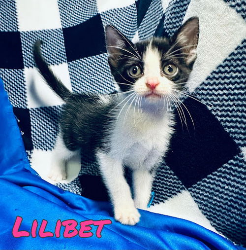 Lilibet