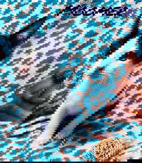 Moomer