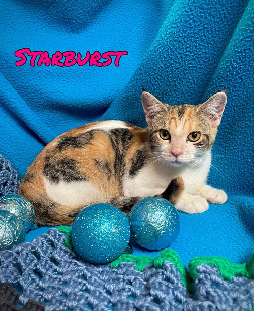 Starburst
