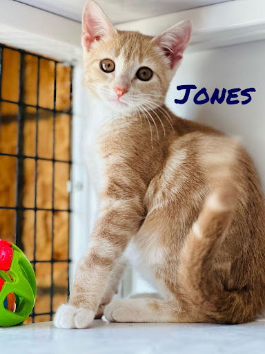 Jones