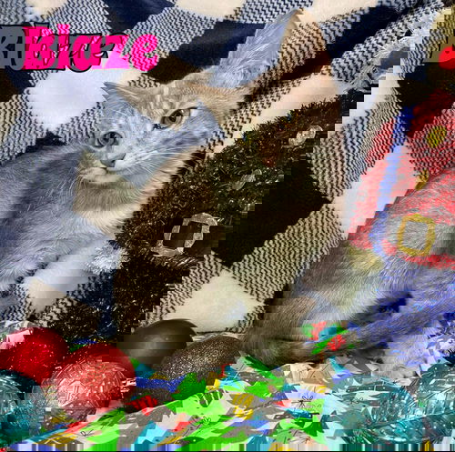Blaze