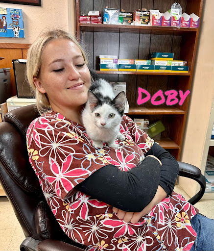 Doby