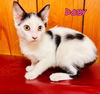 Doby