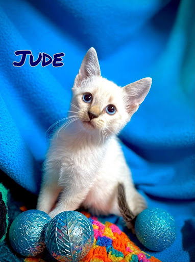 Jude