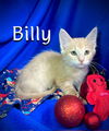 Billy