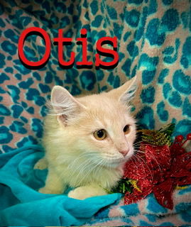 Otis