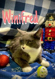 Winifred