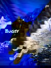 Bugsy