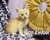 Graham