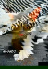 Armando