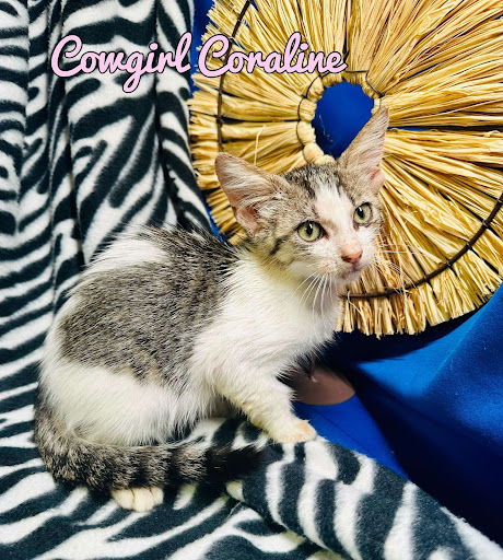 Cowgirl Coraline