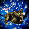 Lucy