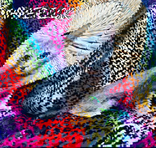 Maverick