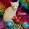 Jessie