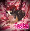 Tasha