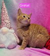 Gretel