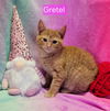 Gretel