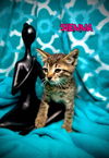 Sienna