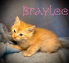 Braylee