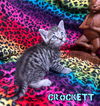 Crockett