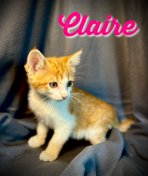 Claire