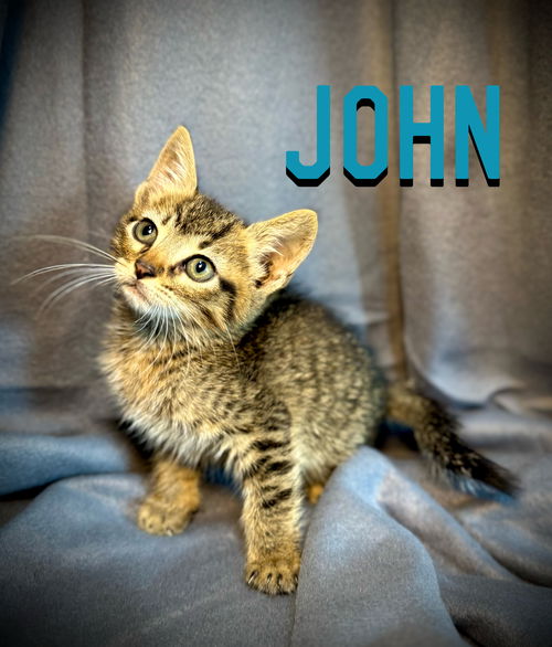 John