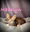 Madelyn